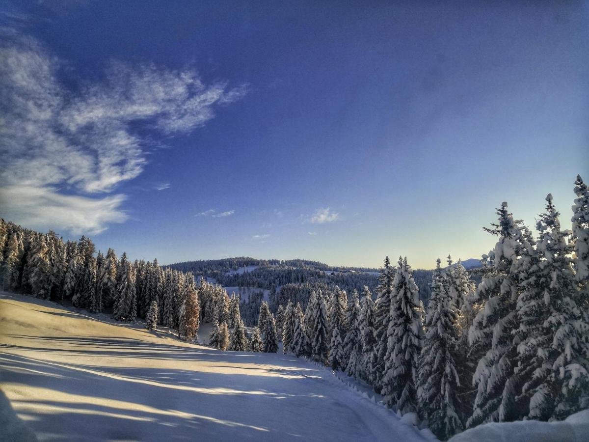 Oberhauser Huette Rodenecker - Luesner Alm Luson Exteriér fotografie